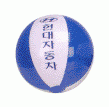 6쪽 비치볼