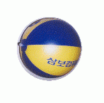 비치볼